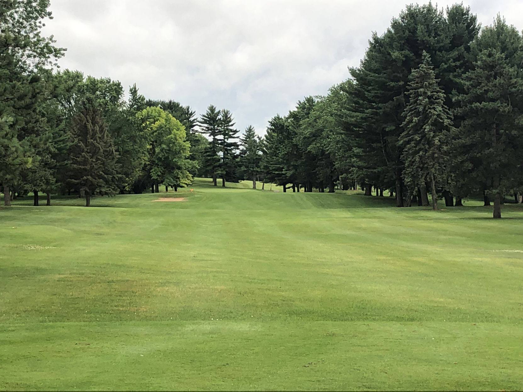 Tuscumbia CC | Tree-lined fairways